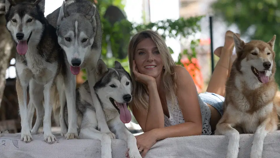 Frau liegt auf einer Decke im Freien mit vier Hunden
