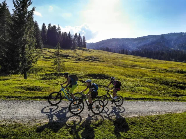 Drei Mountainbiker auf einem Schotterweg zwischen Bergwiesen und Wald
