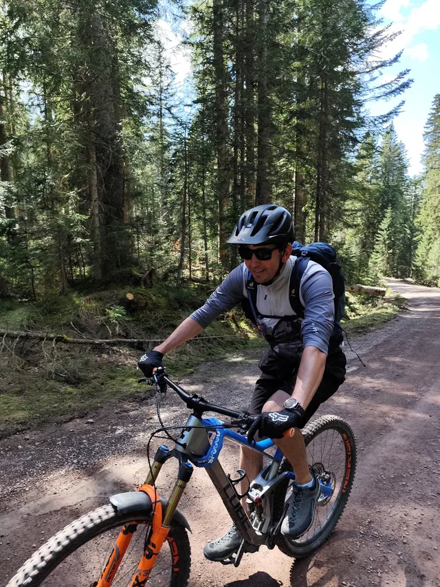 Mountainbiker auf einem Waldweg im Nadelwald