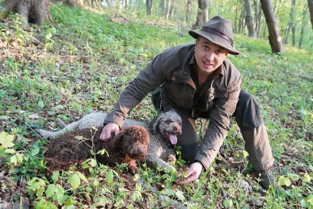 Hundeführer mit Hut und zwei Trüffelhunden im Wald