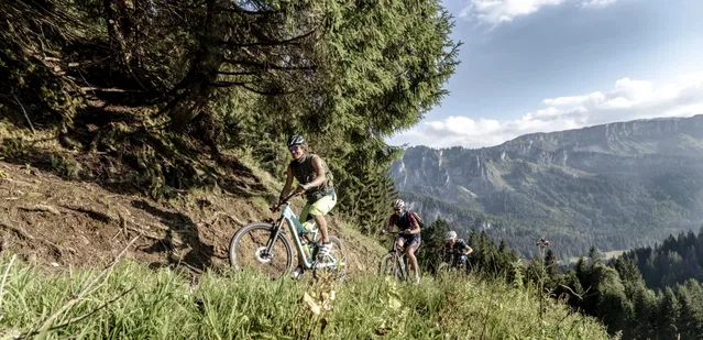 Drei Mountainbiker fahren auf einem schmalen Pfad am bewaldeten Berghang bergauf
