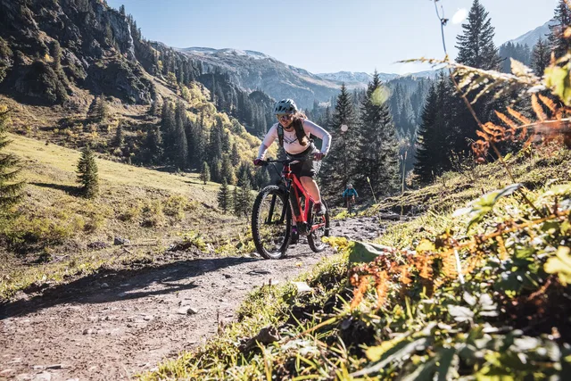 Mountainbiker auf einem alpinen Weg vor bewaldeten Bergen