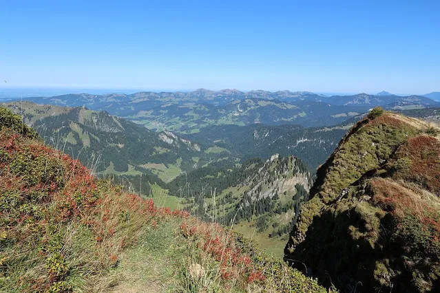 Bergpanorama vom Diedamskopf nach Norden; Übersichtsaufnahme der Gipfelumgebung.
