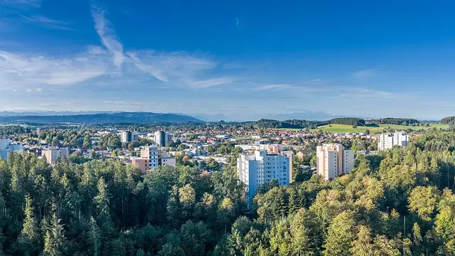 Blick über Wangen im Allgäu mit Bebauung, Wald und Bergen am Horizont Ortsmotiv.