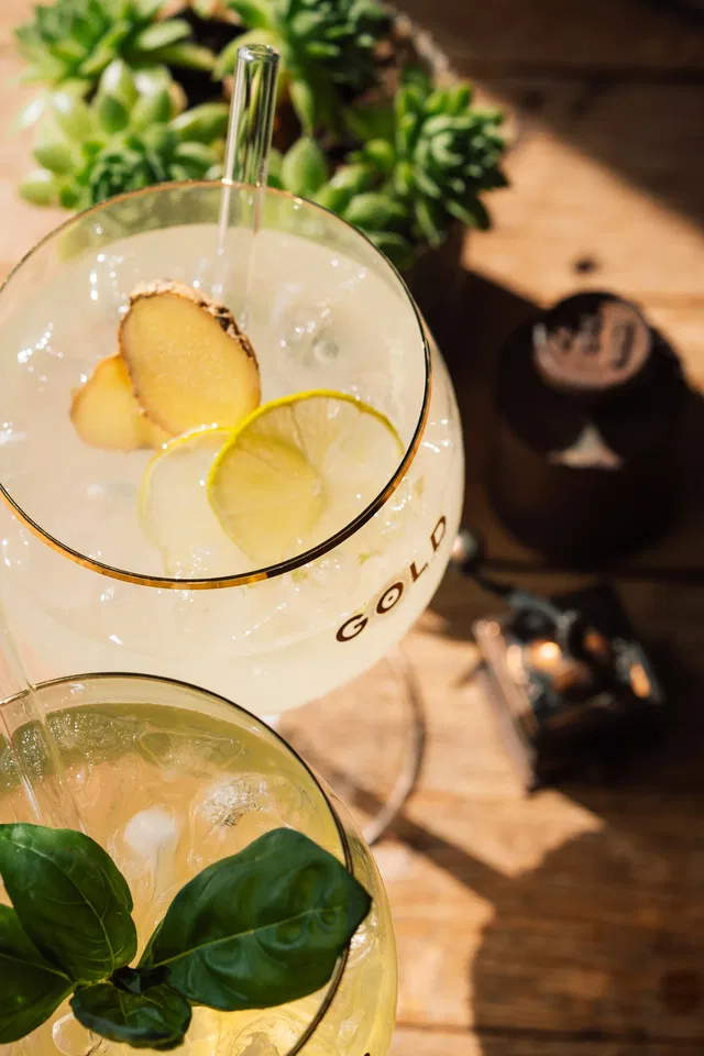Zwei Cocktails mit Eis, Zitronenscheiben, Ingwer und Basilikum auf Holztisch