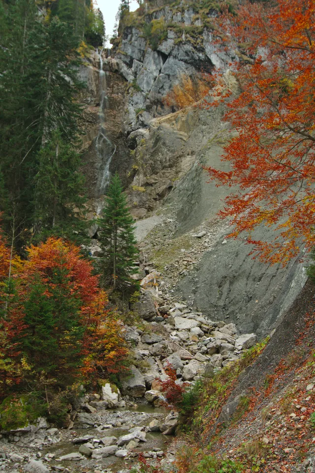 Scheuenwasserfall im Bergwald bei Balderschwang