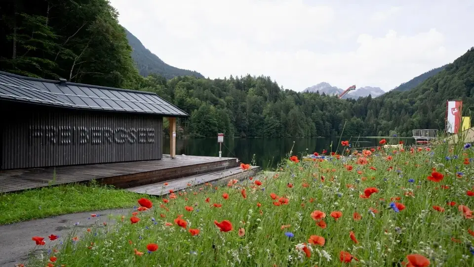 Holzhaus am Seeufer mit bunten Blumen und Bergen im Hintergrund.