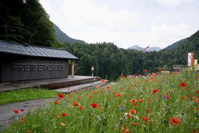 Gebäude am Freibergsee mit Blumenwiese und Bergkulisse