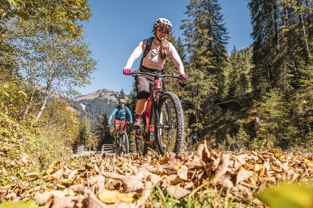 Zwei Mountainbiker auf einem Waldweg vor bewaldeten Bergen