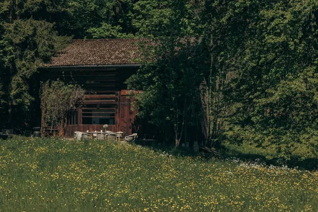 Rustikale Holzhütte im Wald, von Bäumen umgeben, vor einer Blumenwiese.