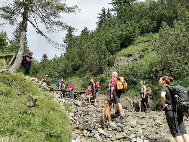 Wandergruppe mit Hunden im steinigen Bachbett