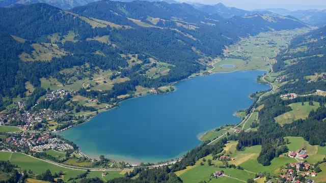 Luftaufnahme des Großen Alpsees bei Immenstadt zwischen grünen Hängen und Allgäuer Bergen. Ortsmotiv.