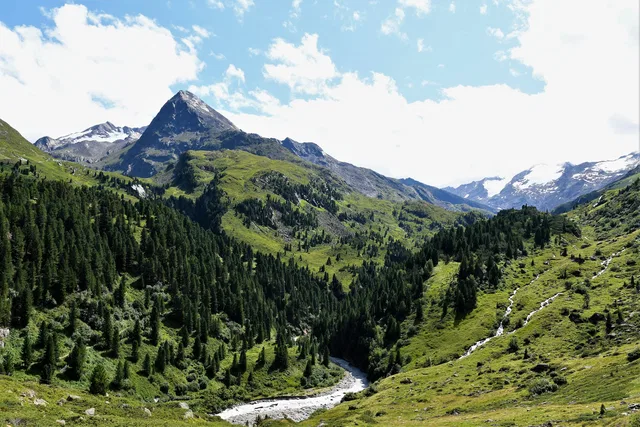 Alpine Berglandschaft mit grünem Talwald und einem fließenden Fluss