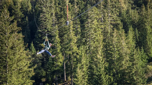 Person in Sicherheitsausrüstung hängt an Seilbahn durch Wald aus Kiefern.