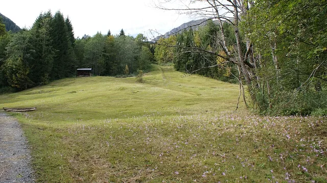 Kulturlandschaft im Auer Ried oberhalb von Au.