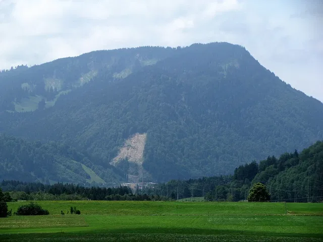 Berglandschaft mit grünen Feldern und bewaldeter Bergkette