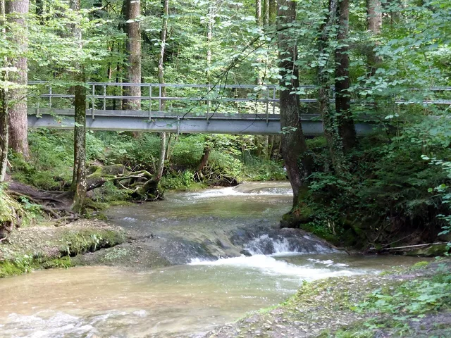 Motiv aus dem Gelände der Scheidegger Wasserfälle.