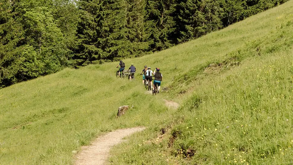 Gruppe von Mountainbikern auf einem schmalen Weg durch grasbewachsende Hügellandschaft