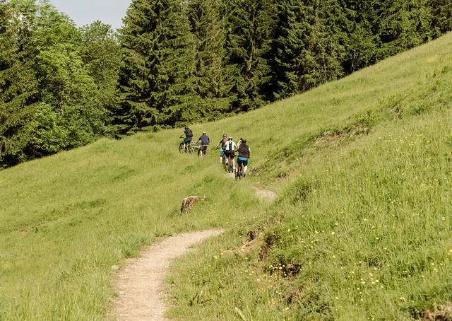 Gruppe von Mountainbikern auf einem schmalen Weg durch grasbewachsende Hügellandschaft