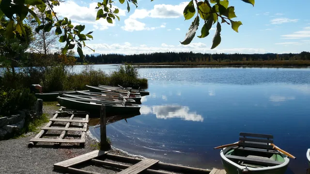 Bootssteg am ruhigen Elbsee-Ufer mit Booten und umliegenden Bäumen.