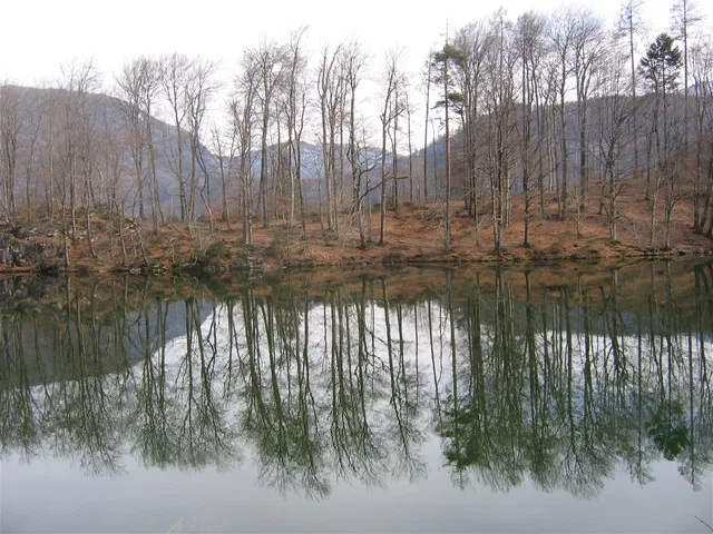 Kahle Bäume am Seeufer spiegeln sich im ruhigen Wasser.