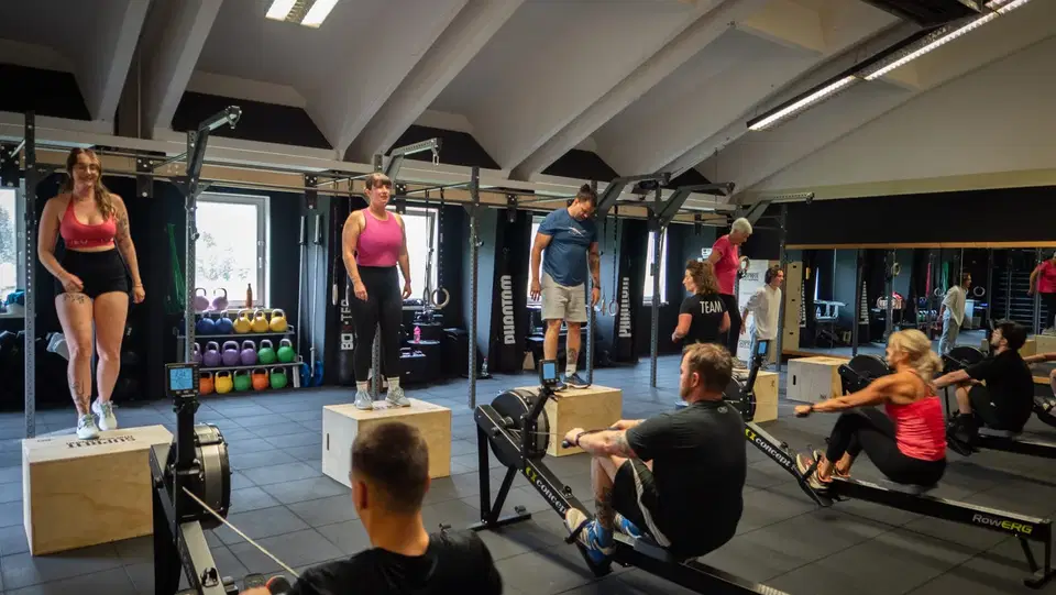Gruppentraining mit Holzboxen und Rudergeräten