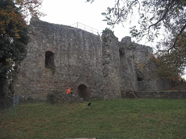 Steinruine einer Burgmauer mit Bogenöffnung, umgeben von Gras und Bäumen.