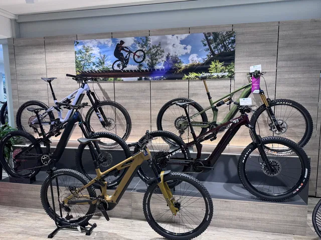 Mehrere ausgestellte Mountainbikes vor einem Wandfoto mit einem fahrenden Mountainbiker
