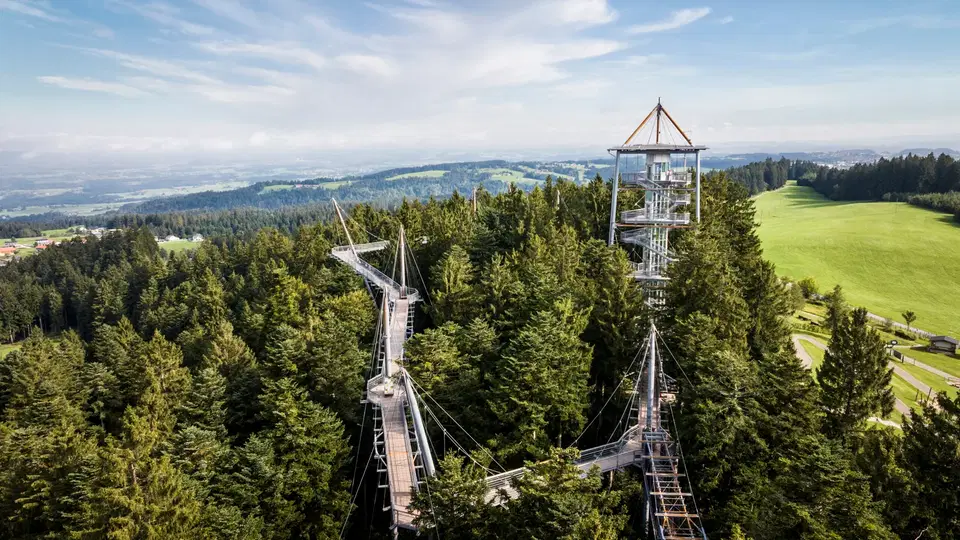 Baumwipfelpfad mit Aussichtsturm über einem Nadelwald