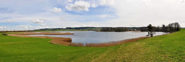 Blick auf den Rohrsee.