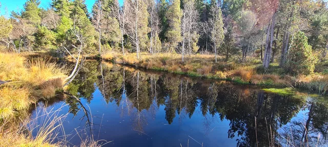 Stiller Waldsee mit spiegelnder Wasseroberfläche und Herbstlaub am Ufer