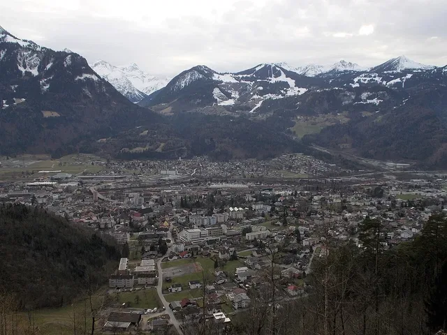 Landschaftsblick aus dem Buchwald oberhalb von Bludenz.