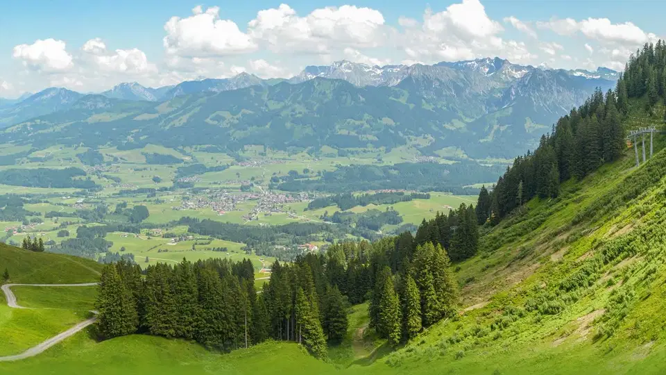 Landschaft mit grünen Hängen, Wald und Seilbahntrasse in den Bergen.