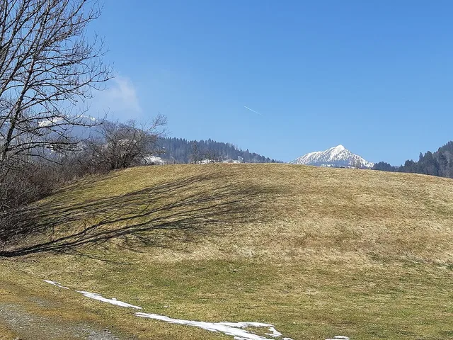 Wiesen in der Parzelle Boden in Bürserberg – ein Umgebungsmotiv zur Ortsrunde.