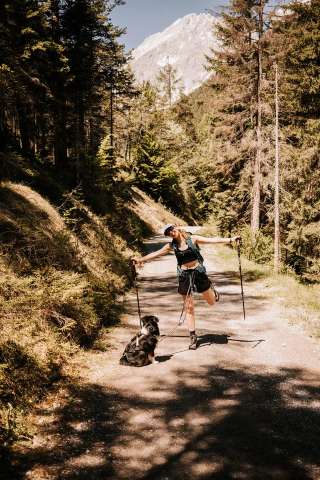 Person mit Rucksack und Hund auf Waldweg in Berglandschaft