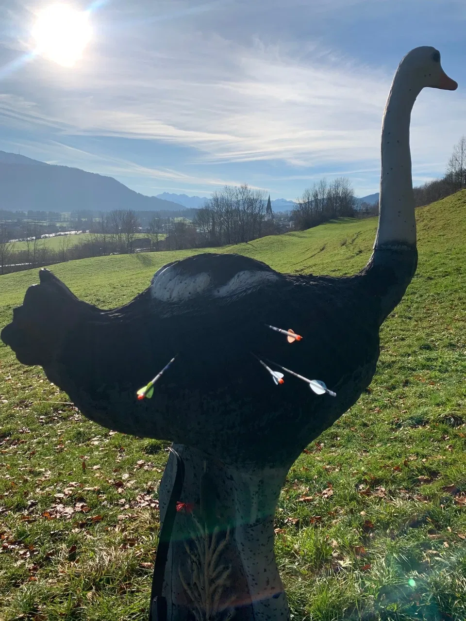 3D Bogenparcours in Martinszell im Allgäu – 30 Stationen am Eggener Weg