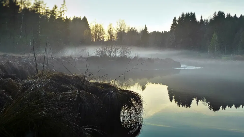 Waldsee Lindenberg – Uferweg, Holzsteg und Moorlandschaft