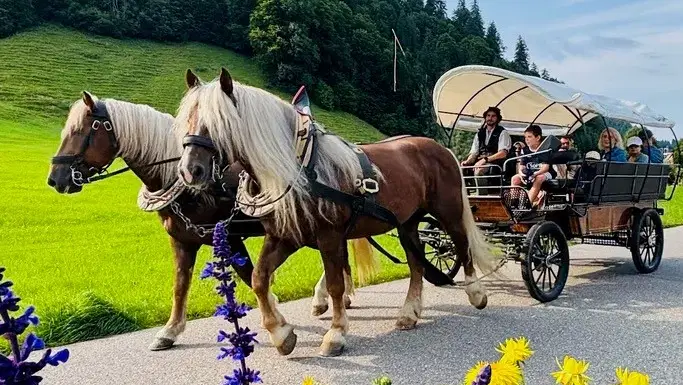 Braune Pferde mit heller Mähne vor einer besetzten Kutsche neben Blumenbeeten