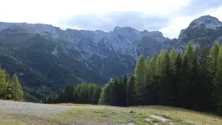 Scharnitz und das Holz: Geschichten aus der Holzerhütte