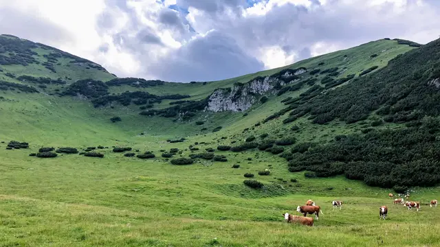 10 Almabtriebe in Tirol, die Du 2026 erleben solltest