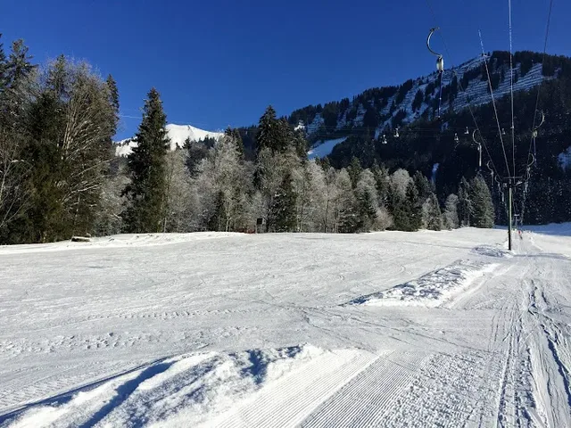 Schneebedeckte Piste mit Wald und Bergen, Skiliftmasten rechts im Bild
