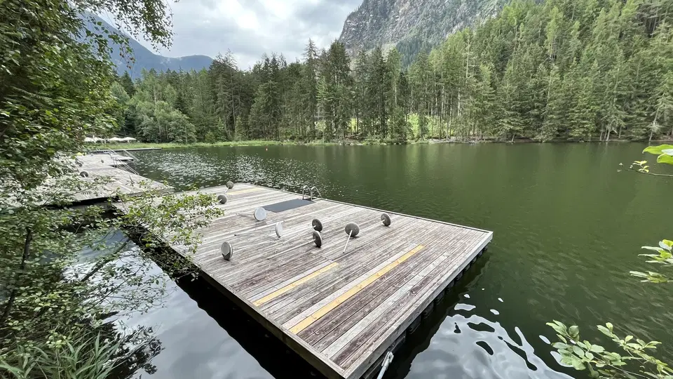 Holzsteg auf einem ruhigen Bergsee, von Bäumen und Bergen umgeben.