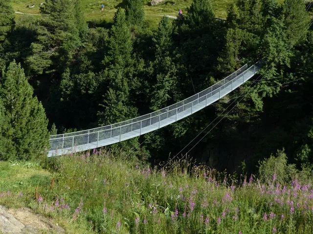 Hängebrücke aus Metall über einer Waldschlucht in einer grünen Landschaft.