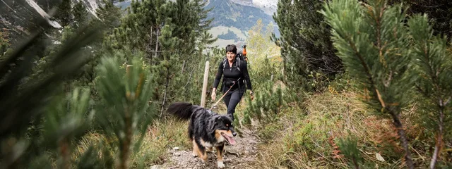 Person mit angeleintem Hund auf einem Weg zwischen Latschen