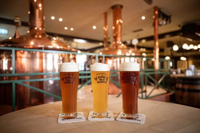 Drei hausgebraute Biere vor den Kupferkesseln der Dampfbierbrauerei Oberstdorf