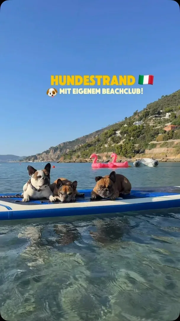DIESEN Hundestrand müsst ihr euch merken! 🐶🇮🇹🌊
Anzeige
Türkisblaues Meer, ei