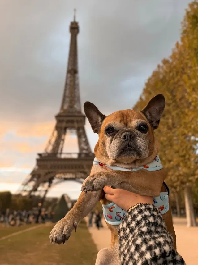 Best of Paris 🇫🇷❤️

& damit ist ein großer Traum in Erfüllung gegangen, habe f