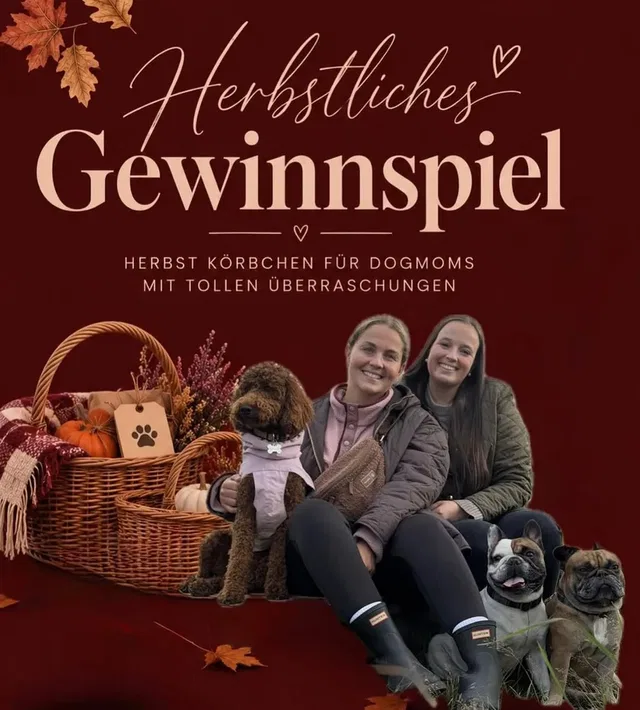 🐶 HERBST-GEWINNSPIEL – Kuschelige Herbstfreude für Dog Moms & ihre Fellnasen! �